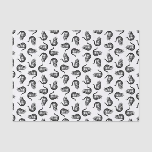 不思議の国のアリスの猫カスタムアリス 薄葉紙 (正面)