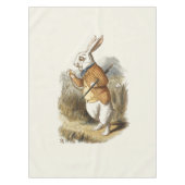 不思議の国のアリスの白うさぎヴィンテージ テーブルクロス (正面)