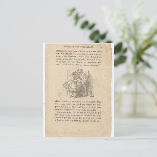 不思議の国のアリス第一章兎の下 ポストカード (スタンド正面)