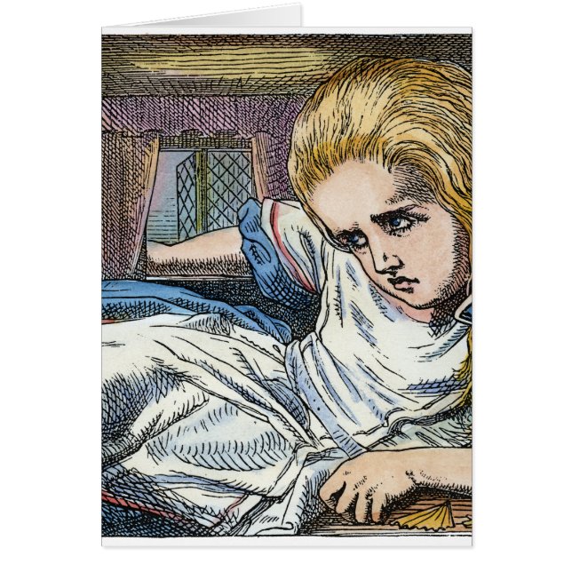 不思議の国のアリス (正面)