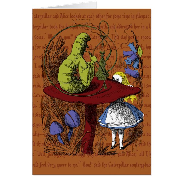 不思議の国のアリス (正面)