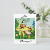 不思議の国のアリス – キノコ,いもむしが座っていた ポストカード (スタンド正面)