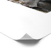 不思議の国のアリス ポスター (角)