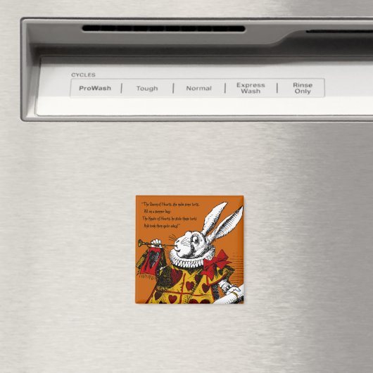 不思議の国のアリス マグネット (インサイチュ (食洗機))