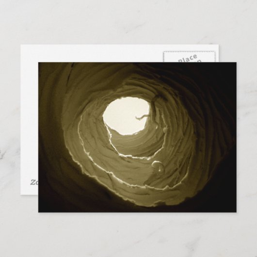 不思議の国のウサギの巣穴の郵便はがきのアリス ポストカード (正面/裏面)