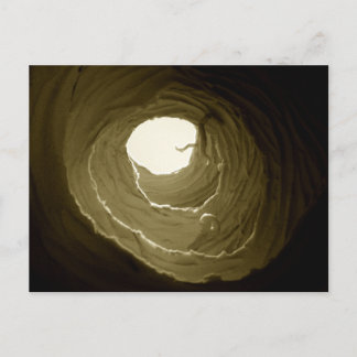 不思議の国のウサギの巣穴の郵便はがきのアリス ポストカード