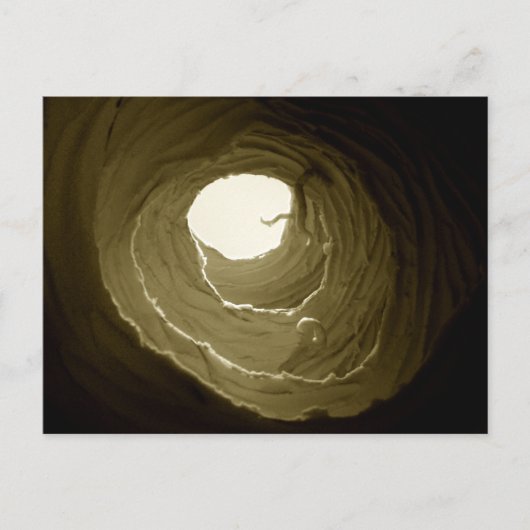 不思議の国のウサギの巣穴の郵便はがきのアリス ポストカード (正面)