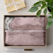 不思議の国のピンク色の青いヘラルドの白うさぎアリス 薄葉紙 (ギフト)