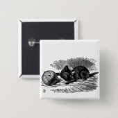 不思議の国の黒猫の本のスケッチのヴィンテージアリス 缶バッジ (正面&裏面)