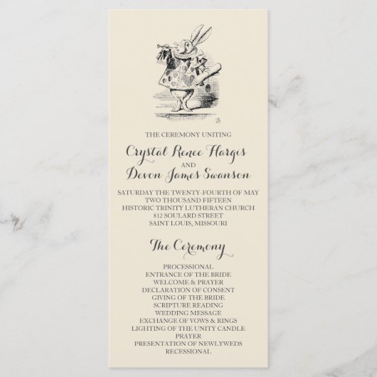 不思議の国式プログラムのアリス プログラム (正面)