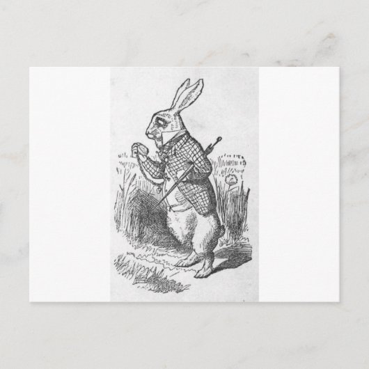 不思議の国2.5のアリス ポストカード (正面)