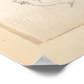 [不明なスターリング]。1835年、エドワード・リア ポスター (角)