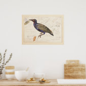 [不明なスターリング]。1835年、エドワード・リア ポスター (キッチン)