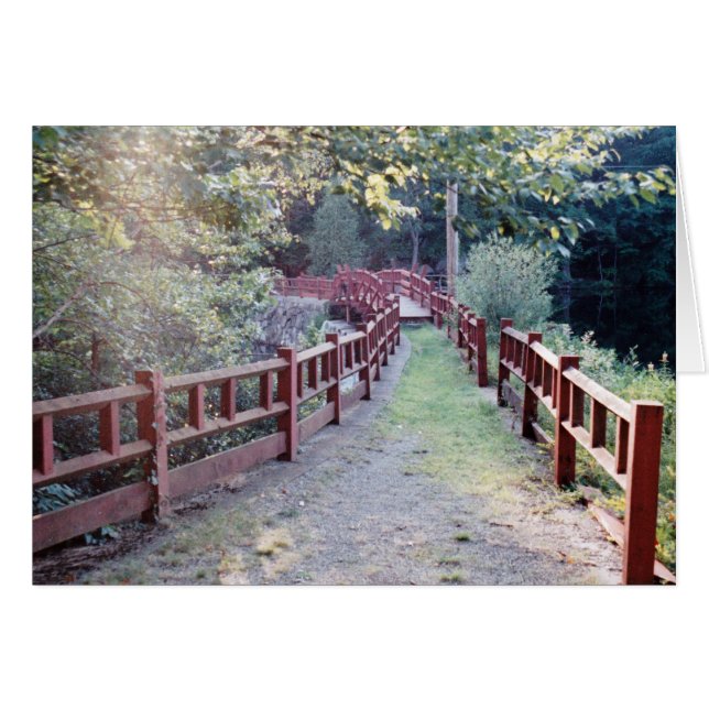 不明なパス (正面横)