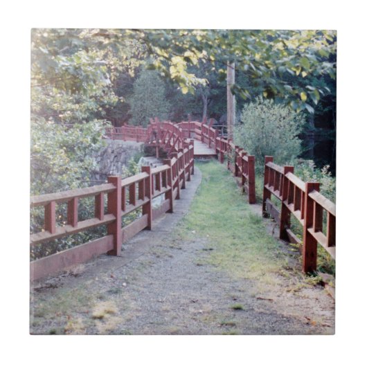 不明なパス タイル (正面)