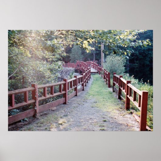 不明なパス ポスター (正面)