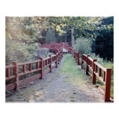 不明なパス ポスター (正面)