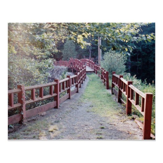 不明なパス ポスター (正面)