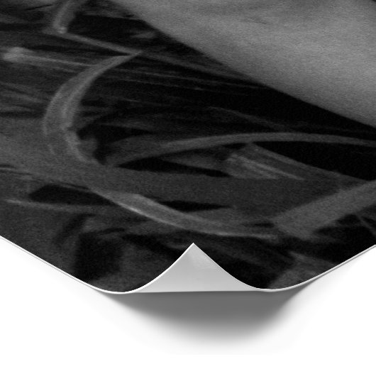 不景気の素晴らし女子校生, 1930年代 ポスター (角)