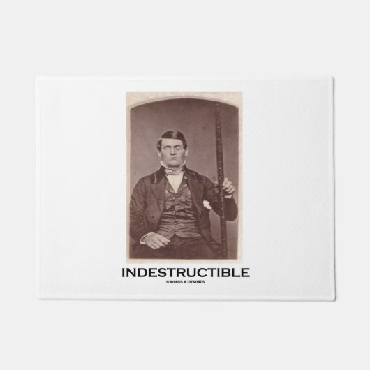 不朽のPhineasのゲージ心理学のユーモア ドアマット (正面)