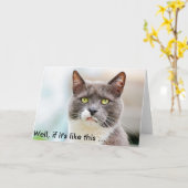 不機嫌おもしろいそうな表情の猫の誕生日カード カード (黄色い花)