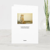 不機嫌おもしろいなジンジャーキャットクリスマスカードユーモア シーズンカード (裏面)