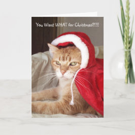不機嫌おもしろいなジンジャーキャットクリスマスカードユーモア シーズンカード