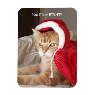 不機嫌おもしろいな猫クリスマスマグネットユーモアのある マグネット