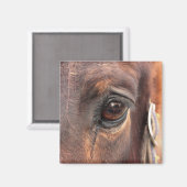 不機嫌そうな目 マグネット (正面/裏面)