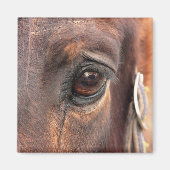 不機嫌そうな目 マグネット (正面)