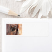 不機嫌そうな目 ラベル (インサイチュ)