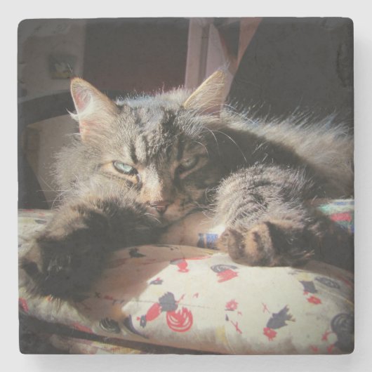 不機嫌なエンジェル猫 ストーンコースター (正面)