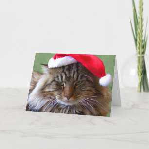 不機嫌なクリスマス猫カード シーズンカード