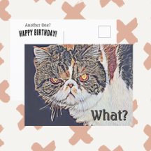不機嫌なグリンピー猫　面白い誕生日