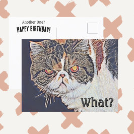 不機嫌なグリンピー猫 面白い誕生日 ポストカード