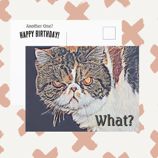 不機嫌なグリンピー猫　面白い誕生日 ポストカード