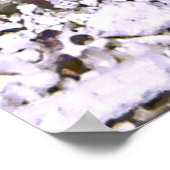 不機嫌なジャウフィッシュ ポスター (角)