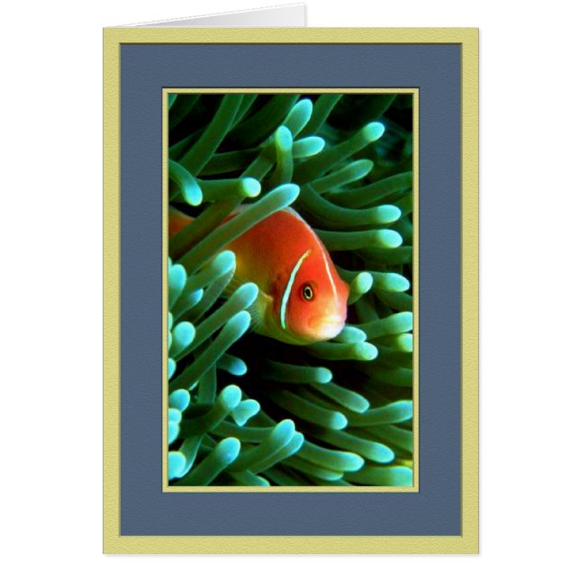 不機嫌なトム (正面)