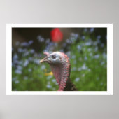 不機嫌なトム ポスター (正面)