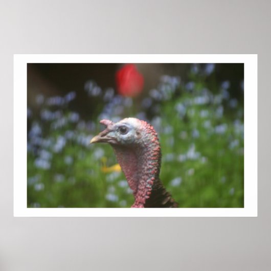 不機嫌なトム ポスター (正面)