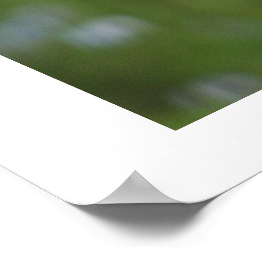 不機嫌なトム ポスター (角)