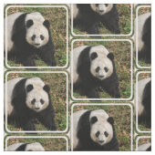 不機嫌なパンダくま ファブリック (見本)