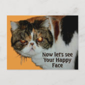 不機嫌なペルシャ猫のエキゾチックショートヘア ポストカード (正面)