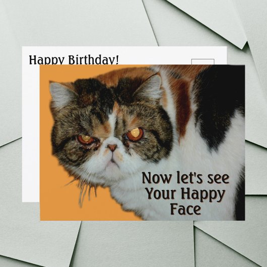 不機嫌なペルシャ猫のエキゾチックショートヘア ポストカード
