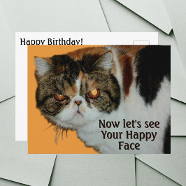 不機嫌なペルシャ猫 エキゾチックショートヘア ポストカード