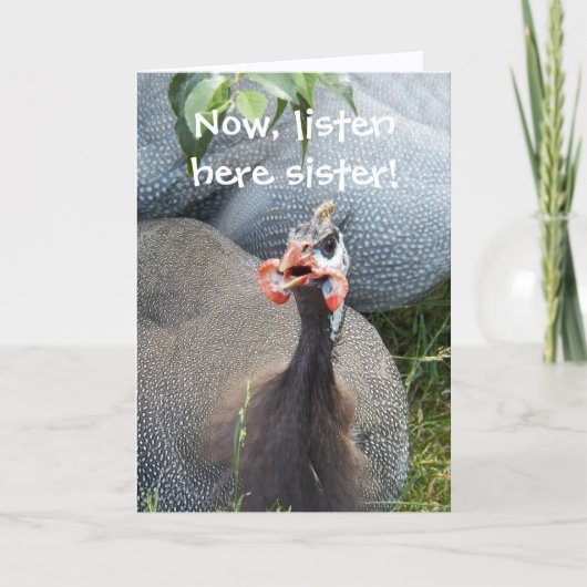 不機嫌なペンネの写真 面白い誕生日 カード (正面)