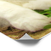 不機嫌な七色は岩以外のすべてを憎む ポスター (角)