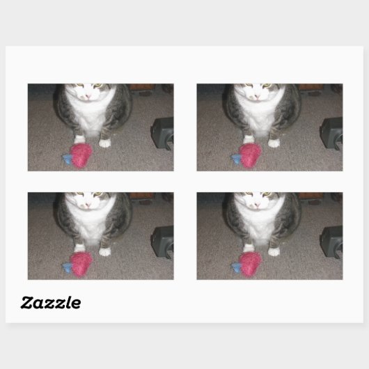 不機嫌な太った猫は面白くない 長方形シール (シート)