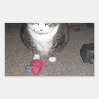 不機嫌な太った猫は面白くない 長方形シール