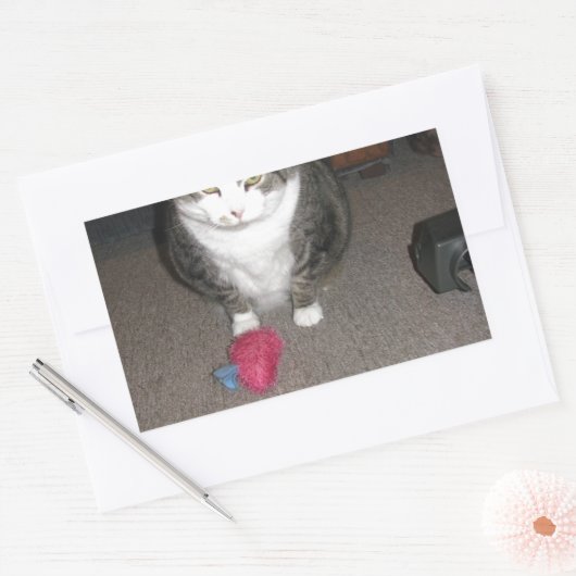 不機嫌な太った猫は面白くない 長方形シール (封筒)